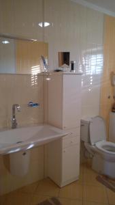 a bathroom with a sink and a toilet at Guesthouse Jelic in Teslić