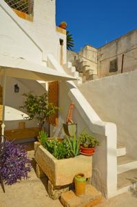 a set of stairs with potted plants on it at Antica Terrazza in Morciano di Leuca