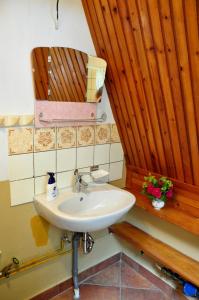 a bathroom with a sink and a mirror at Finnhütte von Mai bis September in Wittenbeck