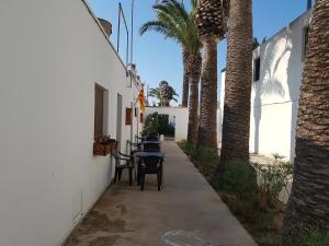 a patio with tables and chairs and palm trees at Ca la Pilar in Poblenou del Delta