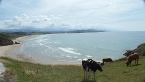 Gallery image of Hostería El Pomar in Novales