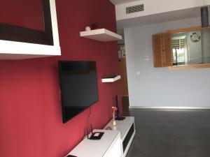 TV a/nebo společenská místnost v ubytování Apartamento Puerto Real