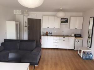 Kuchyň nebo kuchyňský kout v ubytování Apartament Jula 1