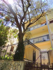 a tree in front of a building with a fence at Guest House Jelena in Budva