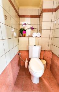 Gallery image of Lilian View Studio in Kissamos