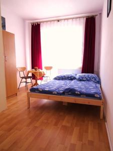 1 dormitorio con 1 cama frente a una ventana en DELFIN Wynajem Pokoi, en Ostrowo