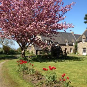 drzewo z różowymi kwiatami przed domem w obiekcie Maison d'hôtes "Bienlivien" w mieście Saint-Coulomb