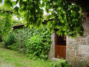 a building with a wooden door with ivy on it at Quinta da Picaria in Santo Tirso