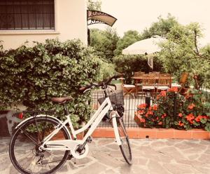 Attività di ciclismo presso la casa vacanze o nelle vicinanze