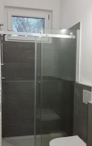 格里安泰卡德納比亞的住宿－Appartamento i Tulipani - 1，浴室设有玻璃淋浴间和卫生间