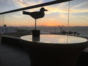 パラカスにあるParacas vista al marのギャラリーの写真 +43枚の写真