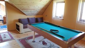a living room with a pool table and a couch at Kaszuby Dom W Wielu in Wiele