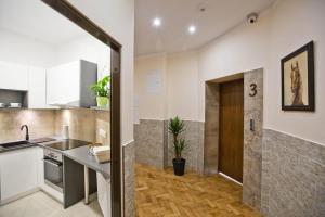 Kuchyňa alebo kuchynka v ubytovaní R&B APARTMENTS POZNAŃ