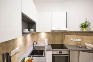 Kuchyňa alebo kuchynka v ubytovaní R&B APARTMENTS POZNAŃ