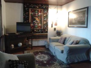 a living room with a couch and a tv at Chalé Lady in Campos do Jordão