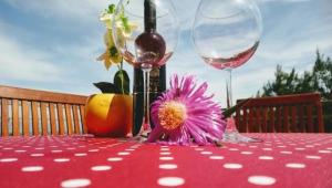 Nápoje v ubytování Hvar Melody, Island Hvar, Rosohotnica Bay + 37 fotografií