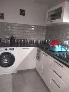 Kuchyňa alebo kuchynka v ubytovaní Klopot 4 Apartment