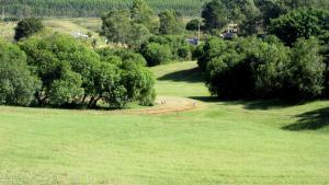un champ verdoyant avec des arbres et un chemin de terre dans l'établissement Hostería La Bordona, à Rivera