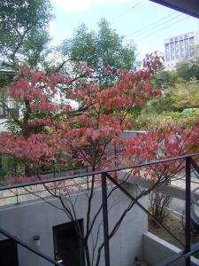 a tree with pink flowers on it on a balcony at AH87 Osaka in Suita