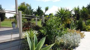 a garden with palm trees and plants on a deck at Bass Coast Country Cottages in Bass