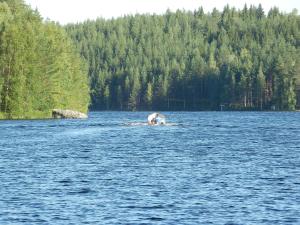 a person riding a paddle boat on a body of water at Kyykerin Kartano in Outokumpu