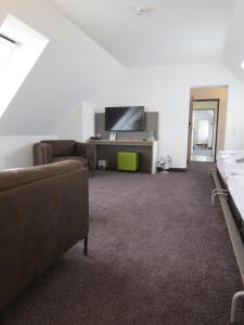 TV a/nebo společenská místnost v ubytování Comfor Hotel Ulm City