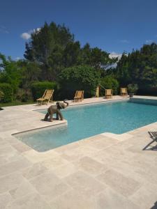 uma estátua de urso de peluche ao lado de uma piscina em Mas d'Asvin & Spa em Saint-Christol-lès-Alès