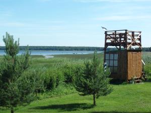 una pequeña estructura de madera en un campo con árboles en Merekalda Accommodation - Adults Only, en Käsmu