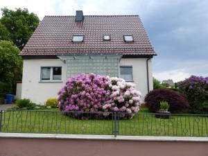 a house with a bush of flowers in front of it at Ferienwohnung Baier in Erbach