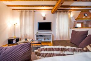 a living room with a couch and a tv at Apartment Marconi in Rovinj