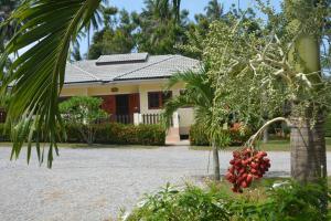 a house with a palm tree in front of it at Apple Bungalows in Bang Saphan