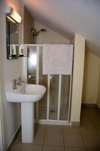a bathroom with a sink and a shower at Crockgarve B and B in Galbally