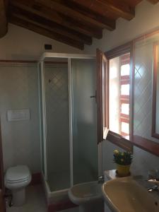 ein Bad mit einer Dusche, einem WC und einem Waschbecken in der Unterkunft La Casa dell' Ambra - Charming old barn in Rignano sullʼArno