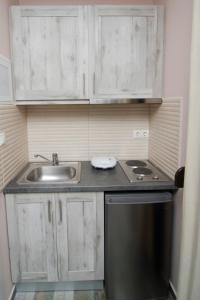 a small kitchen with a sink and a dishwasher at Villa Saravari in Áyios Aléxandros