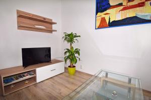 TV a/nebo společenská místnost v ubytování Apartment Nerea