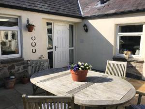 a wooden table with a potted plant on a patio at Tracey's Farmhouse Cottage in Belfast