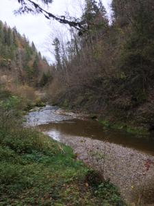 Příroda nedaleko apartmánu