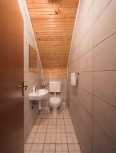 a small bathroom with a toilet and a sink at Apartment Barica in Smoljanac