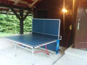 a blue ping pong table with a net on it at Domek U Klaudii in Łabowa