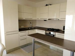 Kuchyňa alebo kuchynka v ubytovaní Apartment Antunovic