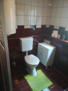 La salle de bains est pourvue de toilettes et d'un tapis vert. dans l'établissement Sobe Tron Palić, à Palić