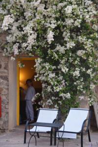 Zahrada ubytování Kasbah Beldi