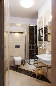 W łazience znajduje się prysznic, umywalka i toaleta. w obiekcie Villa Apia w mieście Piwniczna