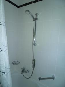 a shower with a shower head in a bathroom at Blick in die Südeifel in Biersdorf am See