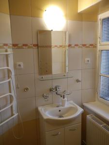 Kúpeľňa v ubytovaní Apartmány Ilona