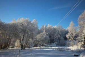 een veld bedekt met sneeuw met bomen op de achtergrond bij Lindsbergs Kursgard and hostel in Falun