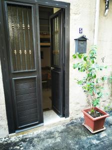 パレルモにあるA'TAVERNUZZAの鉢植えの黒い扉
