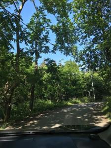 Φωτογραφία από το άλμπουμ του 15 Kviparosi Guest House σε Makhinjauri