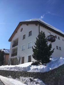 a large white building with a tree in the snow at Palüdetta 8 in Silvaplana