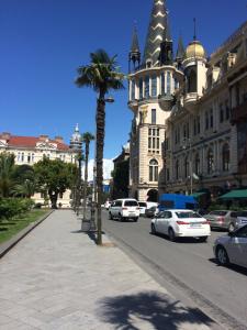 una palmera en una calle de la ciudad con coches en apartamenti drevni batumi, en Batumi